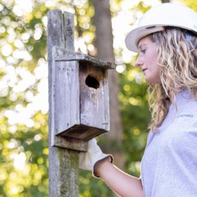 Woman in hard hat next to a bird house