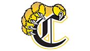 Camden lions logo
