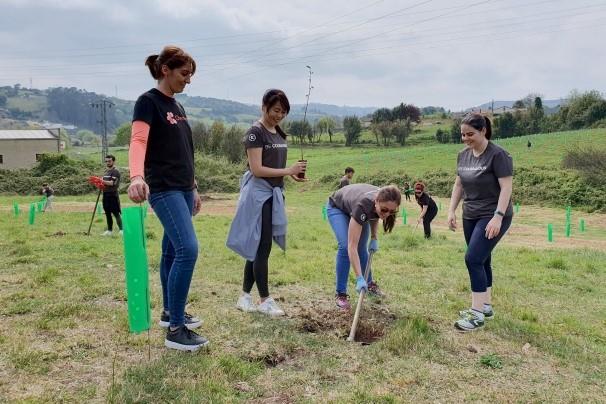 employees digging holes for plants
