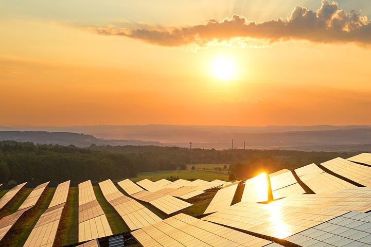 array of solar panels at sunset