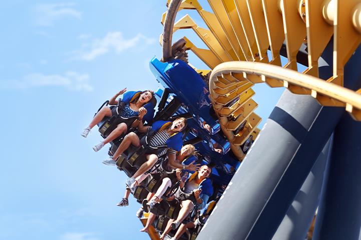 people riding a hang down roller coaster