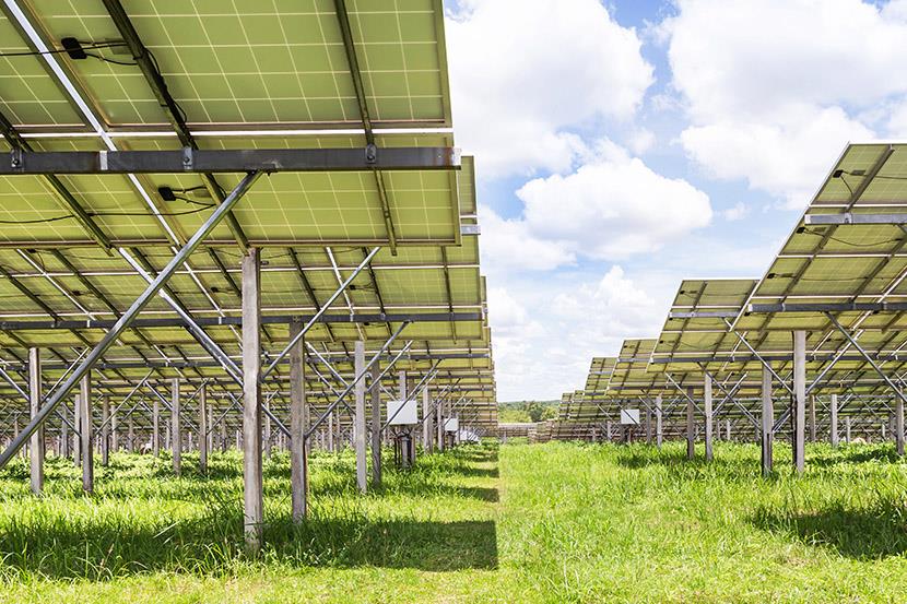 back side view of solar pannels